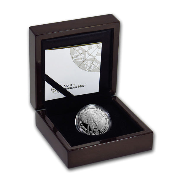 Big Five Elephant - 2019 South Africa 1 Oz Platinum – The Scoin Shop