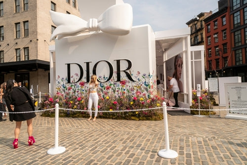 Christian Dior - the mystery and the magic-The Scoin Shop
