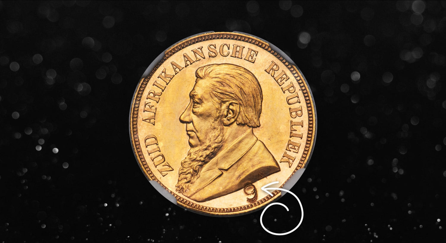 Why Rare Coins Fascinate High-Net-Worth Collectors-The Scoin Shop