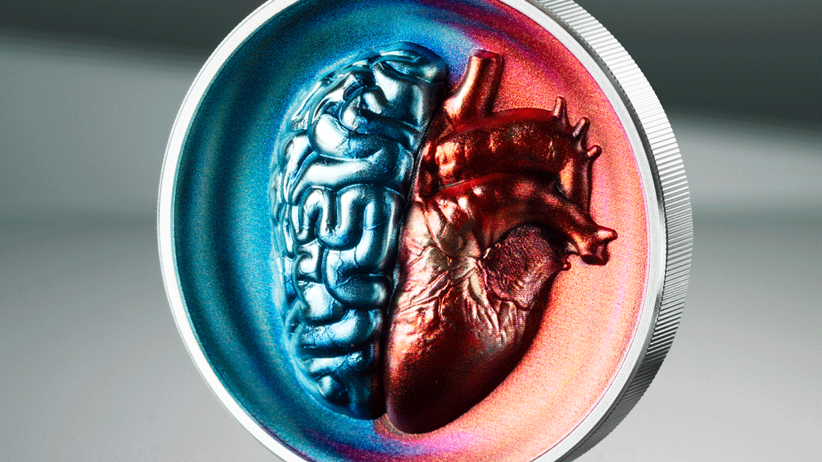 Why Humans Are Hardwired to Collect Beautiful Things