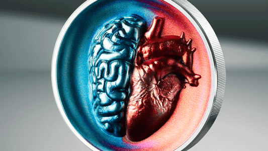 Why Humans Are Hardwired to Collect Beautiful Things