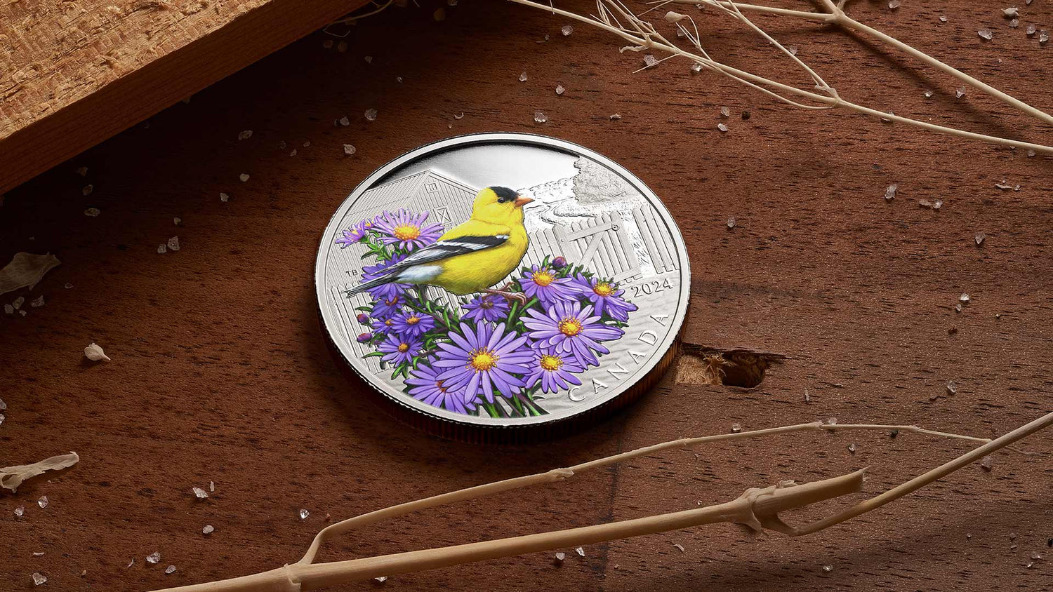 Celebrate World Migratory Bird Day with the Beauty of Nature’s Aviators-The Scoin Shop