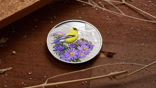 Celebrate World Migratory Bird Day with the Beauty of Nature’s Aviators-The Scoin Shop