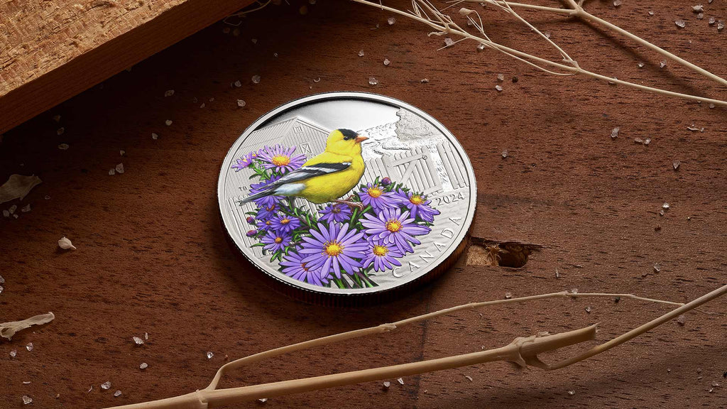 Celebrate World Migratory Bird Day with the Beauty of Nature’s Aviators-The Scoin Shop