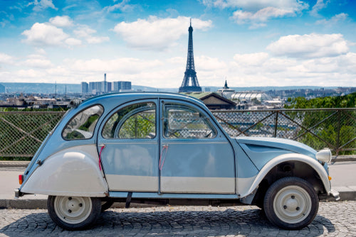 A History of French Excellence-The Scoin Shop