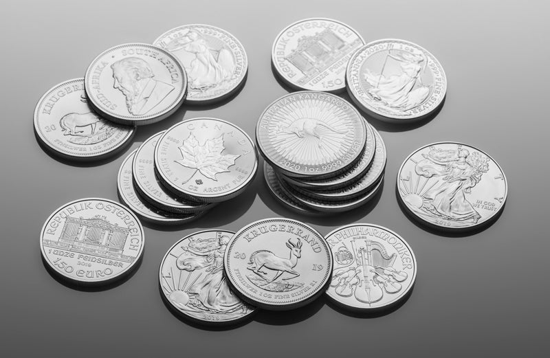 The Allure of Silver: A Guide-The Scoin Shop