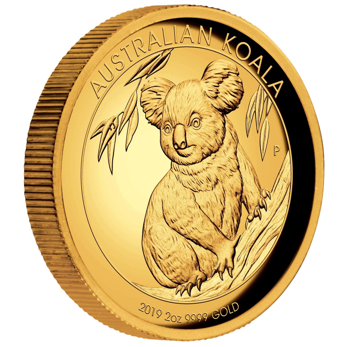 Australian Koala 2019 2oz Gold Proof Coin-The Scoin Shop
