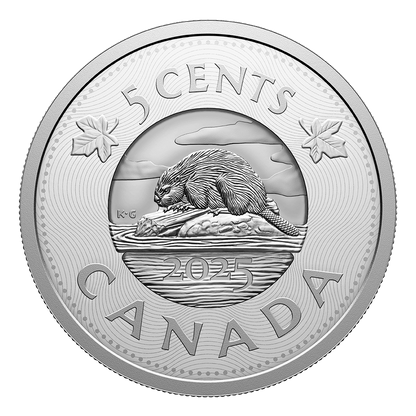 Multilayered Beaver 5 Cent Silver Coin 2025-The Scoin Shop