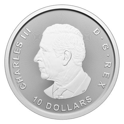2 Oz Canada Goose 2025 Silver Bullion Coin-The Scoin Shop