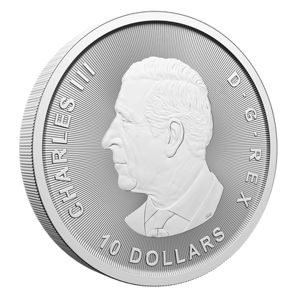 2 Oz Canada Goose 2025 Silver Bullion Coin-The Scoin Shop