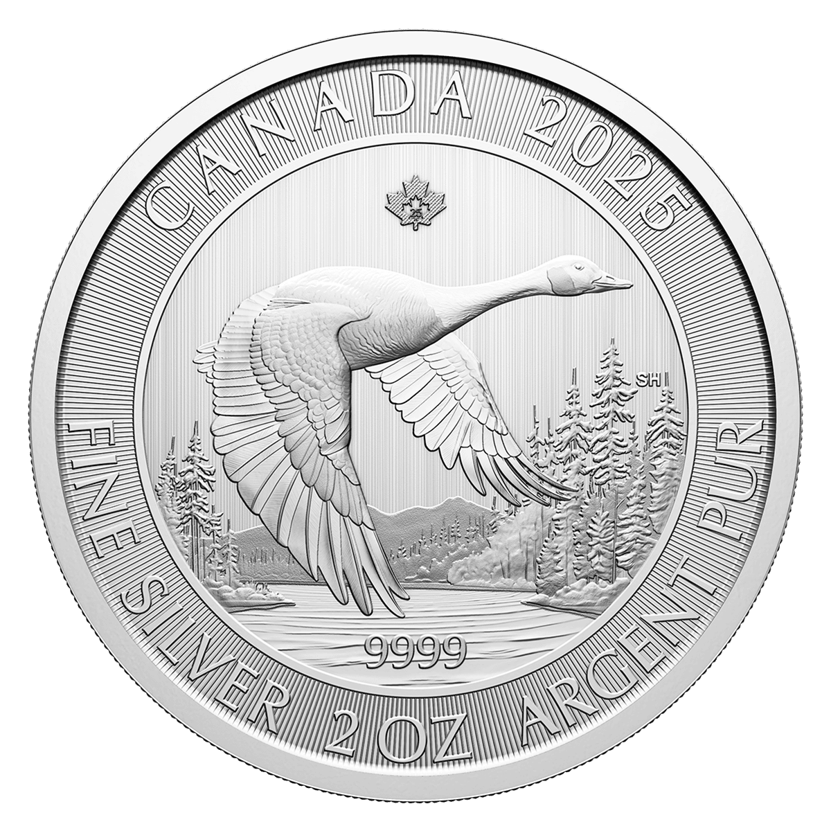 2 Oz Canada Goose 2025 Silver Bullion Coin