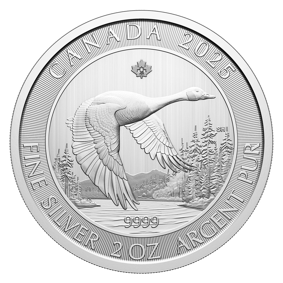 2 Oz Canada Goose 2025 Silver Bullion Coin-The Scoin Shop