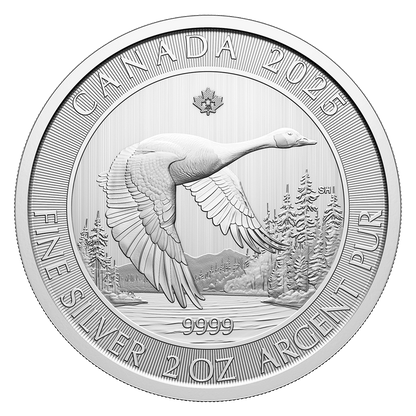 2 Oz Canada Goose 2025 Silver Bullion Coin-The Scoin Shop