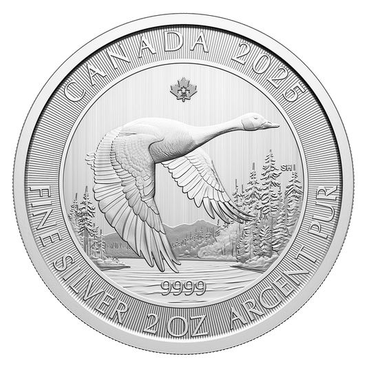 2 Oz Canada Goose 2025 Silver Bullion Coin