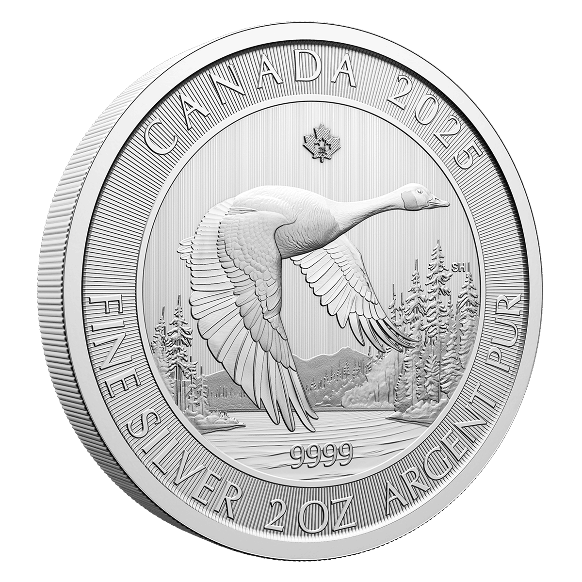 2 Oz Canada Goose 2025 Silver Bullion Coin