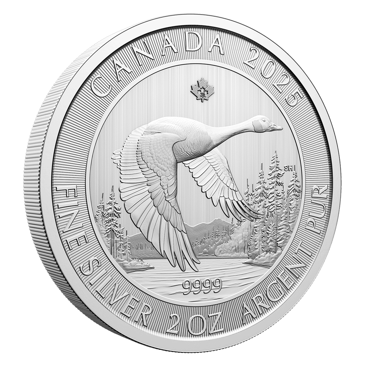 2 Oz Canada Goose 2025 Silver Bullion Coin-The Scoin Shop