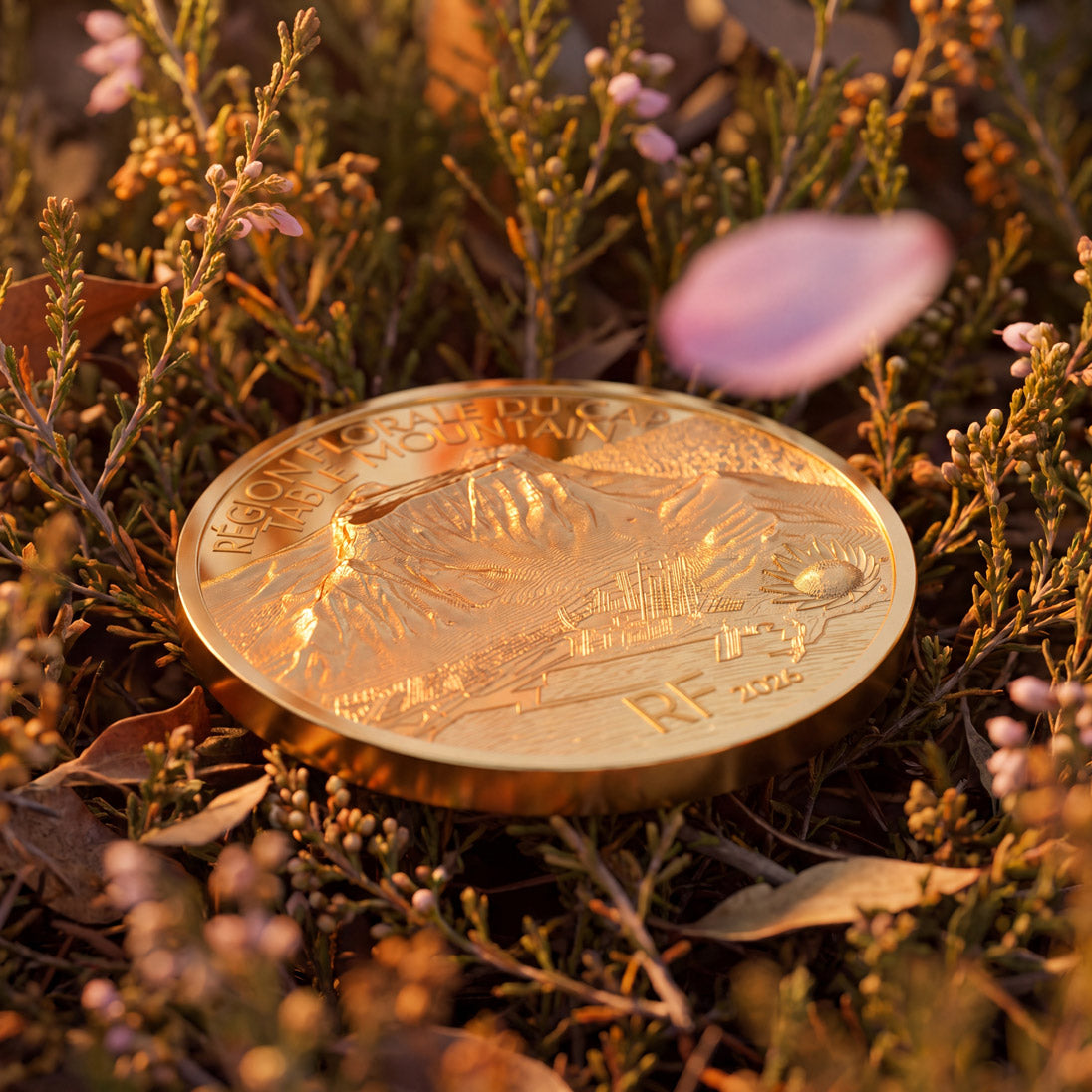 2026 Table Mountain & Cape Floral Region 2oz Gold Proof Coin