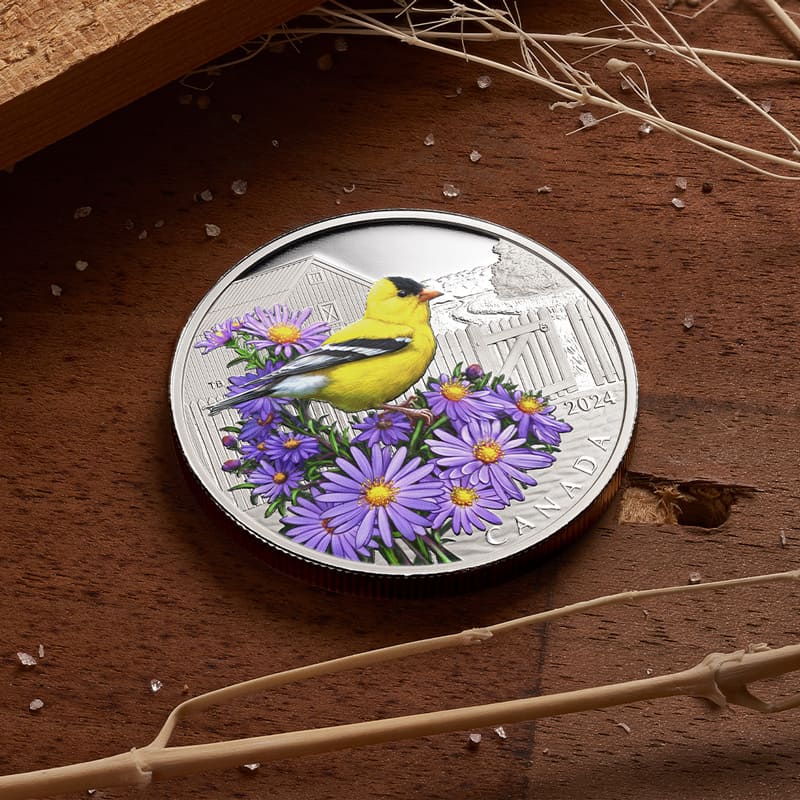 2024 American Goldfinch $20 Fine Silver Coin