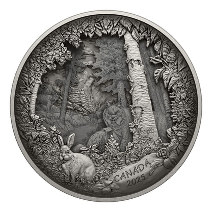 2025 Canada $175 Predator or Prey Silver Coin