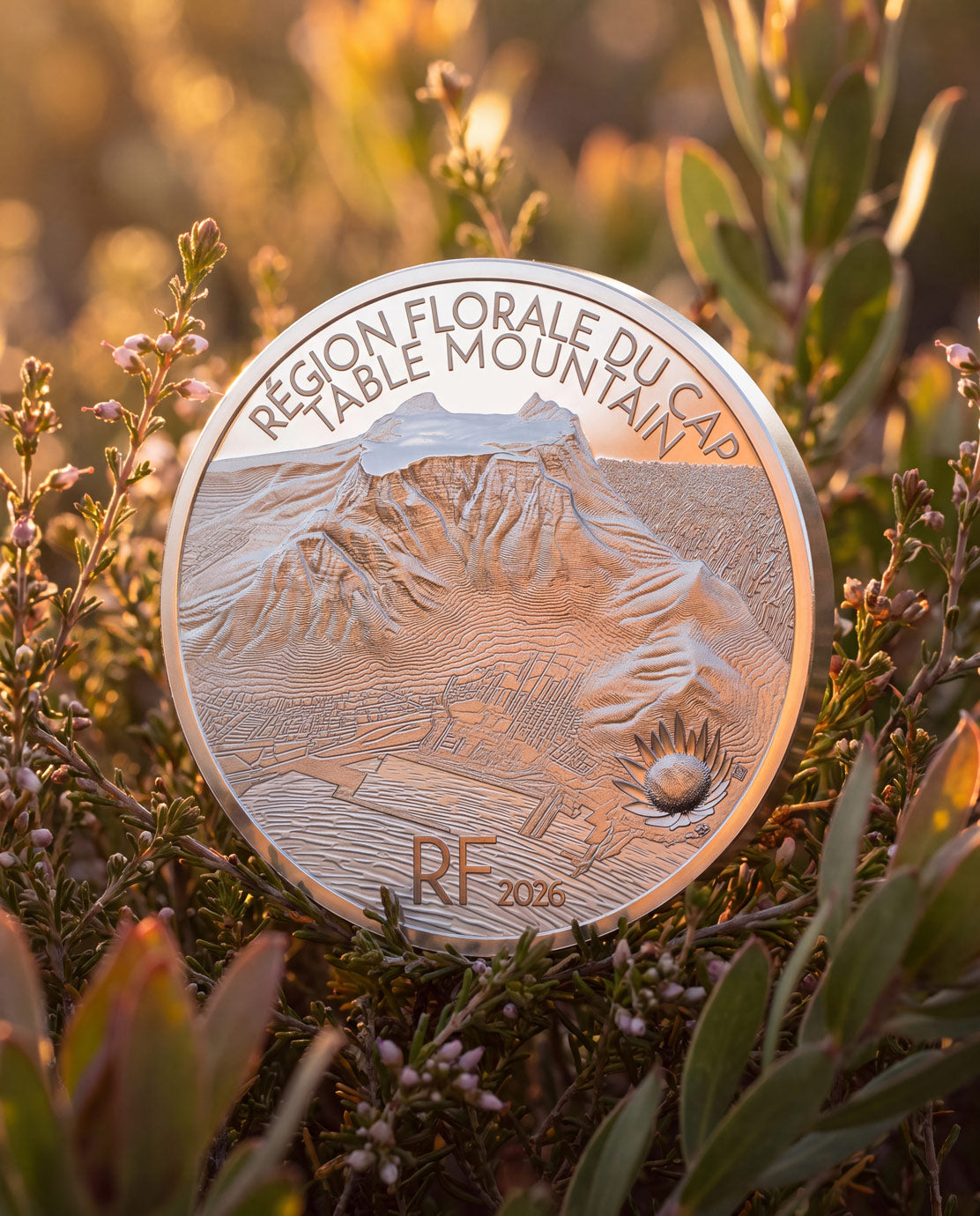 2026 Table Mountain & Cape Floral Region Silver Proof Coin
