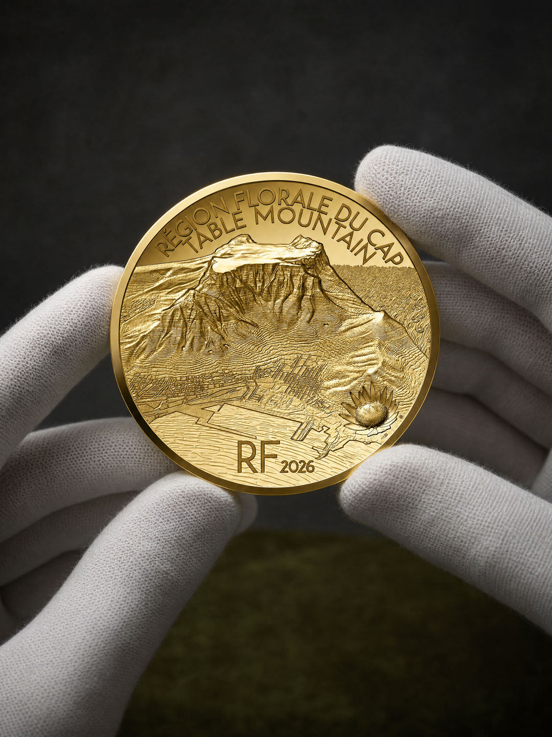 2026 Table Mountain & Cape Floral Region 5oz Gold Proof Coin