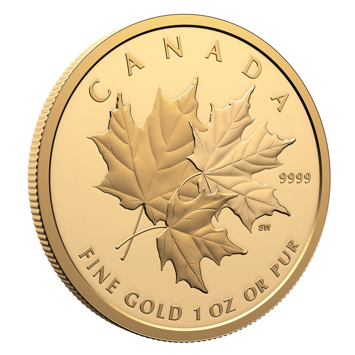 Canadian Triple Maple 1oz Gold 2025-The Scoin Shop