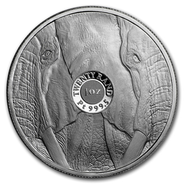 Big Five Elephant - 2019 South Africa 1 oz Platinum